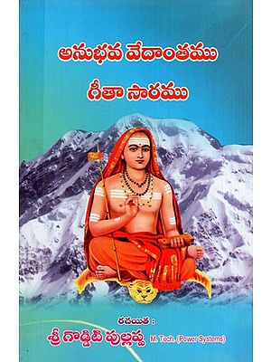 అనుభవ వేదాంతము గీతాసారము: Anubhava Vedanta - Gitasara (Telugu)