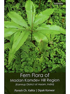 Fern Flora of Madan Kamdev Hill Region (Kamrup District of Assam, India)