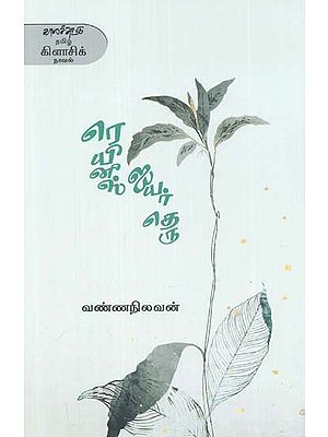ரெயினீஸ் ஐயர் தெரு- Reyiniis Aiyar Teru: Novel (Tamil)