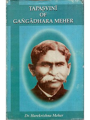Tapasvini of Gangadhara Meher (An Old and Rare Book)