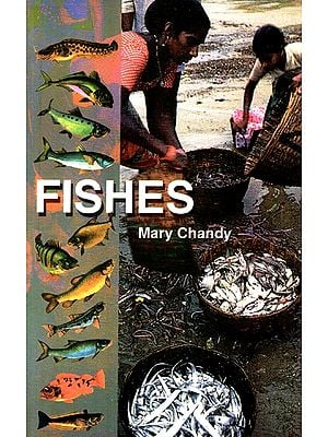 Fishes (India - The Land And The People)