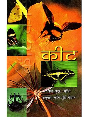 कीट- Insect