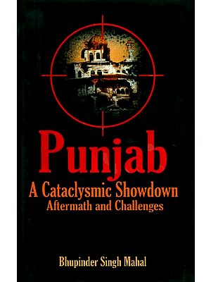 Punjab- A Cataclysmic Showdown (Aftermath and Challenges)