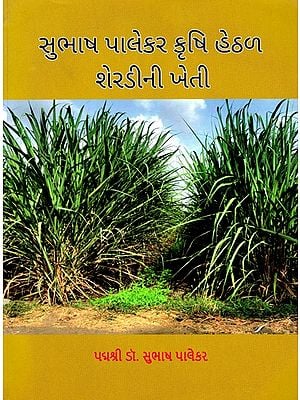 સુભાષ પાલેકર કૃષિ હેઠળ શેરડીની ખેતી- Sugarcane Cultivation under Subhash Palekar Agriculture (Gujarati)
