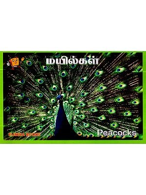 மயில்கள்- Peacocks (Tamil)