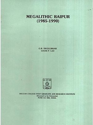 Megalithic Raipur- 1985-1990 (An Old and Rare Book)