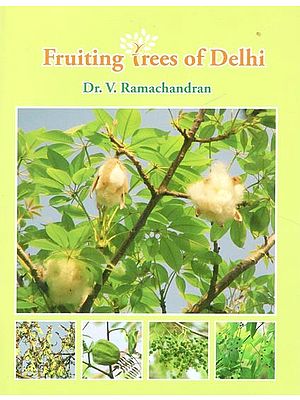 Fruiting Trees of Delhi