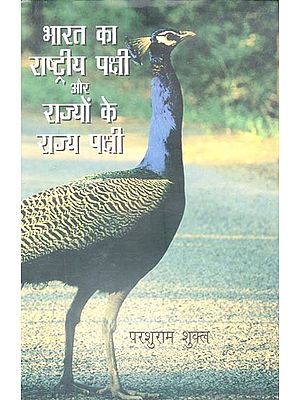 भारत का राष्ट्रीय पक्षी और राज्यों के राज्य पक्षी- National Bird of India and State Bird of States