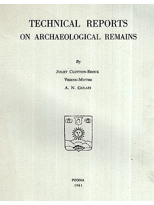 Technical Reports On Archaeological Remains (An Old And Rare Book)