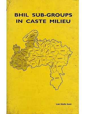 Bhil Sub-Groups in Caste Milieu (An Old and Rare Book)