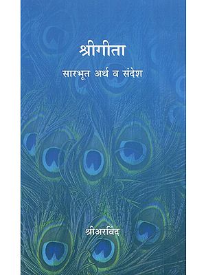 श्रीगीता सारभूत अर्थ व संदेश: Sri Gita Essential Meaning and Message (Marathi)