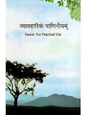 व्यावहारिकं पाणिनीयम्: Panini- For Practical Use