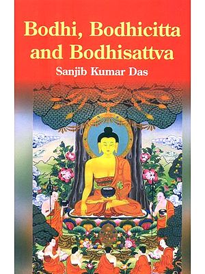 Bodhi, Budhicitta and Bodhisattva