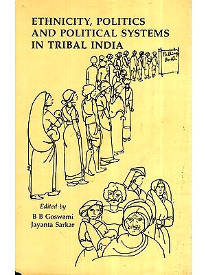 Ethnicity, Politics, And Political Systems In Tribal India