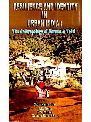 Resilience And Identity In Urban India: The Anthropology Of Bermer & Tehri