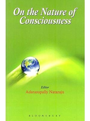 On the Nature of the Consciousness