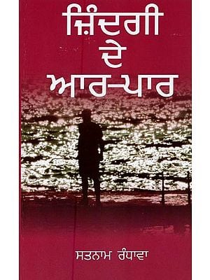 ਜ਼ਿੰਦਗੀ ਦੇ ਆਰ ਪਾਰ: ਕਹਾਣੀ ਸੰਗ੍ਰਹਿ- Jindagi De Aar Paar: A Collection of Stories (Punjabi)