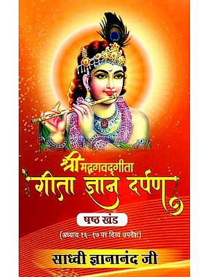 गीता ज्ञान दर्पण (अध्याय १६-१७ पर दिव्य उपदेश): Gita Gyan Darpan- Divine Teachings on Chapters 16-17 (Volume-6)