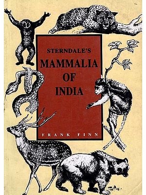 Sterndale's Mammalia of India (A New and Abridged Edition, Throughly Revised and with An Appendix On the Reptilia)