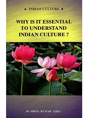 Why is It Essential to Understand Indian Culture ?