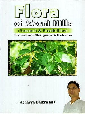 Flora of Morni Hills (Research & Possibilities)