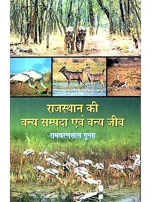 राजस्थान की वन्य सम्पदा एवं वन्य जीव: Wild Wealth and Wildlife of Rajasthan