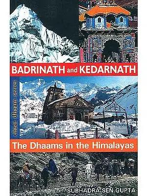 Badrinath and Kedarnath: The Dhaams in the Himalayas