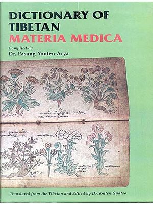 Dictionary of Tibetan Materia Medica (Rare Book)