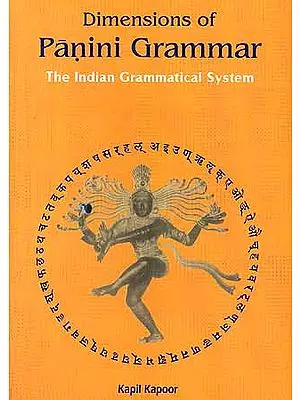 Dimensions of Panini Grammar: The Indian Grammatical System