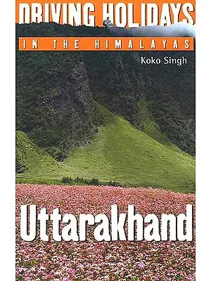 Driving Holidays in the Himalayas: Uttarakhand