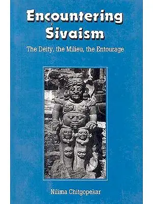 Encountering Sivaism (The Deity, the Milieu, the Entourage)