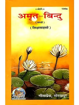 अमृत बिन्दु: Thousand Teaching of Swami Ramsukhdas (Marathi)