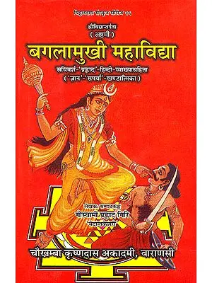 बगलामुखी महाविद्द्या (संस्कृत एवम् हिन्दी अनुवाद) - Bagalamukhi Mahavidya