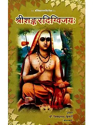 श्रीशंकरदिग्विजय (संस्कृत एवम् हिन्दी अनुवाद) - Sri Sankara Digvijaya