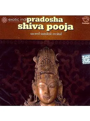 Pradosha Shiva Pooja (Sacred Sanskrit Recital) (Audio CD) | Super Audio (Chennai) (2006)