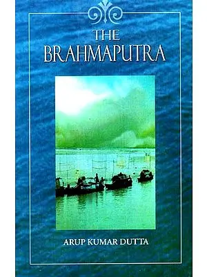 THE BRAHMAPUTRA
