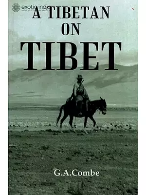 A Tibetan on Tibet