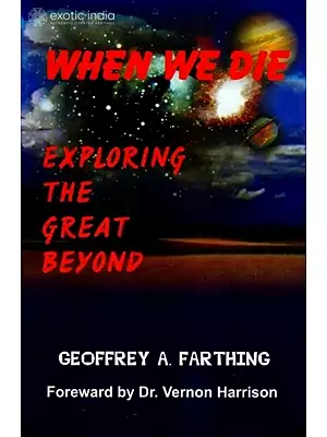 When We Die: A Description of the After-Death States and Processes