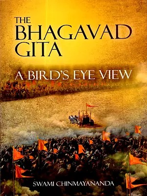 The Bhagawad Geeta (A Bird's Eye View)