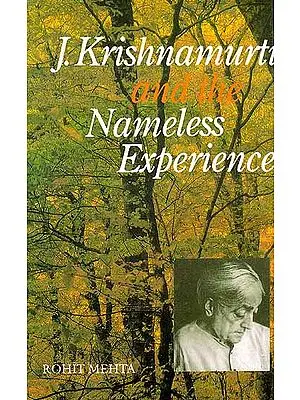J. Krishnamurti And The Nameless Experience
