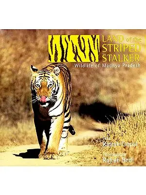 Land of The Striped Stalker (Wildlife of Madhya Pradesh)