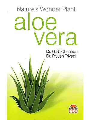 Nature’s Wonder Plant – Aloe Vera