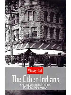 The Other Indians (A Political and Cultural History of South Asians in America)