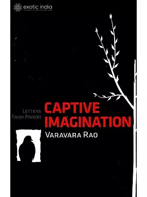 Captive Imagination: Letters from Prison