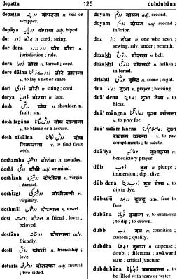 Urdu (Romanised) – Hindi-English Dictionary (English Alphabetical Order ...