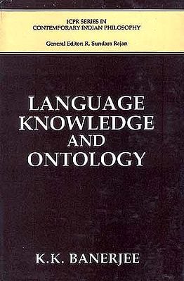 Language Knowledge and Ontology