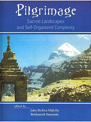Pilgrimage: Sacred Landscapes and Self-Organized Complexity