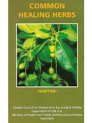 Common Healing Herbs: Haritaki