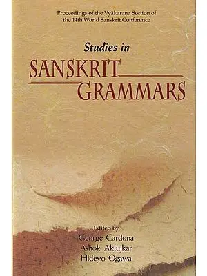 Studies in Sanskrit Grammars: Proceedings of the Vyakarana Section of the 14th World Sanskrit Conference