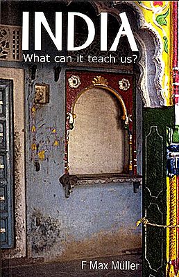 India: What Can It Teach Us?